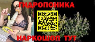 ALPHA PVP Донской