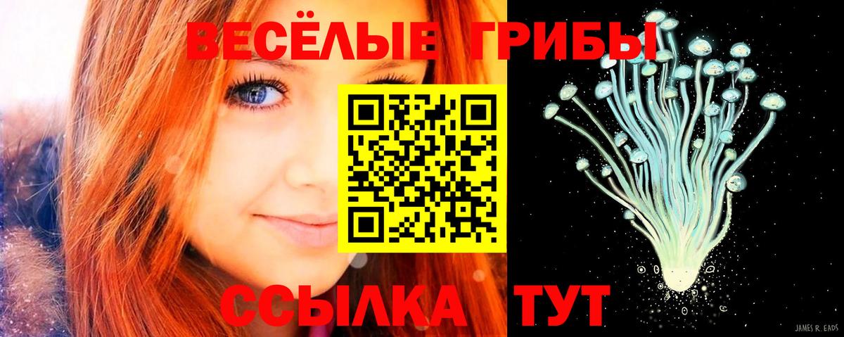 Можайск  Псилоцибиновые грибы MAGIC MUSHROOMS  Вход с VPN 